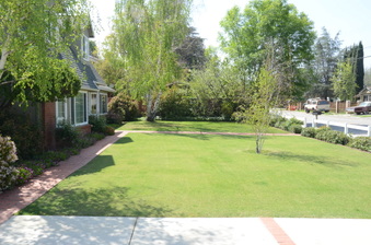 Enlarge photo 14