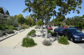 Enlarge photo 5