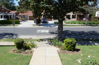 Enlarge photo 14