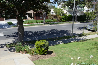 Enlarge photo 15