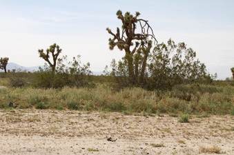 Enlarge photo 3