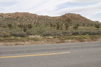 Enlarge photo 17