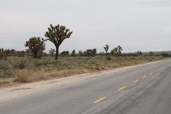 Enlarge photo 22