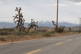Enlarge photo 23