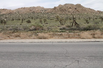 Enlarge photo 24