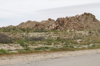 Enlarge photo 30