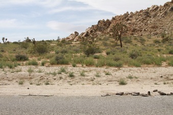 Enlarge photo 33