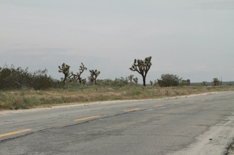 Enlarge photo 36