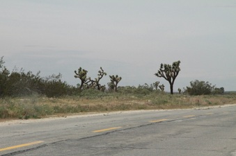 Enlarge photo 37