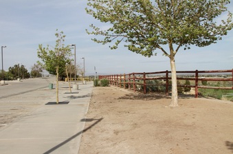 Enlarge photo 8