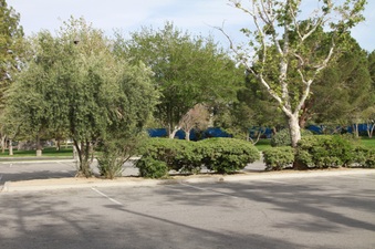 Enlarge photo 16