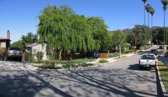 Enlarge photo 4