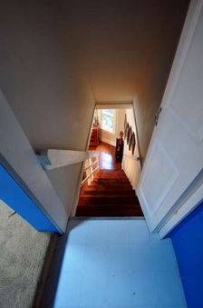 Enlarge photo 44