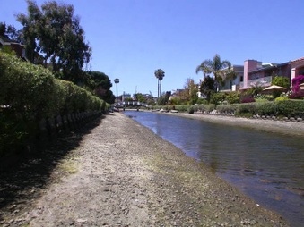 Enlarge photo 49
