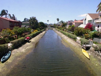 Enlarge photo 51