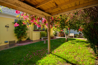Enlarge photo 24