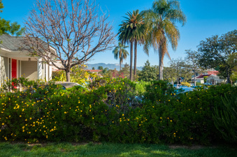 Enlarge photo 29