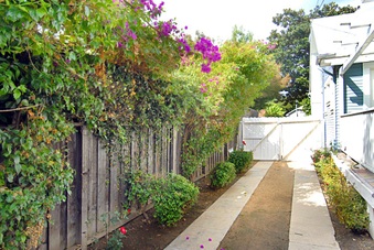 Enlarge photo 33