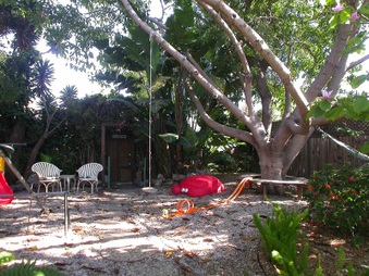 Enlarge photo 6