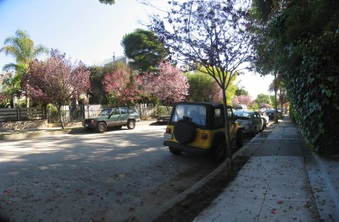 Enlarge photo 9