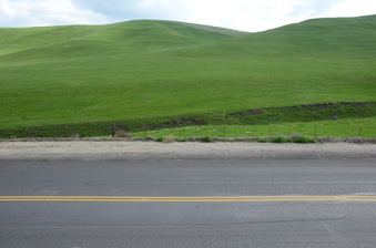 Famoso Rd. E. of Sherwood Ave.