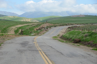 Enlarge photo 11