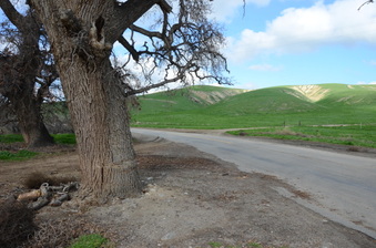 Enlarge photo 20