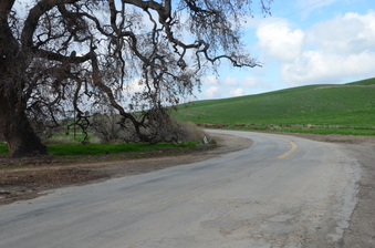 Enlarge photo 21