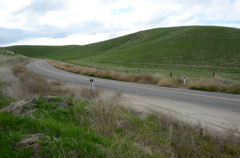 Enlarge photo 11