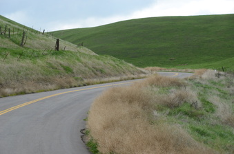 Enlarge photo 10