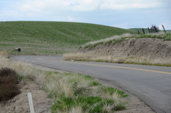 Enlarge photo 22