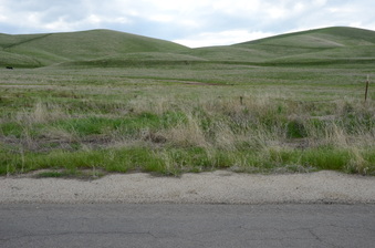 Enlarge photo 25