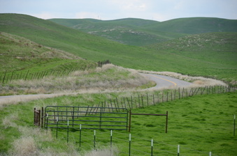 Enlarge photo 14