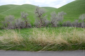 Enlarge photo 20
