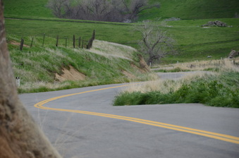 Enlarge photo 45