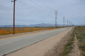Enlarge photo 6