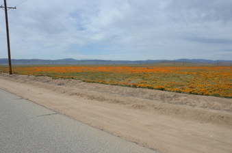 Enlarge photo 9