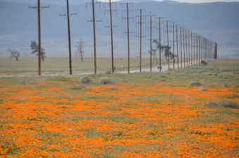110th St. West @ Hwy 138 South