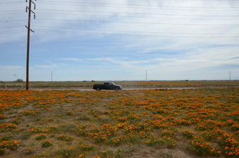 Enlarge photo 16