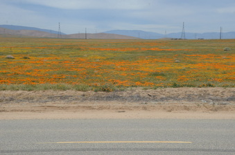 Enlarge photo 18