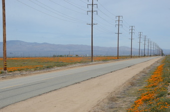 Enlarge photo 21
