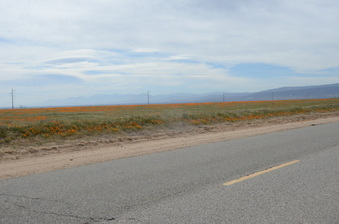 Enlarge photo 20