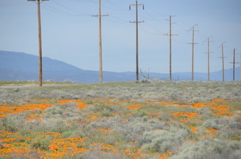 Enlarge photo 2