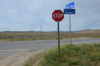 Enlarge photo 3