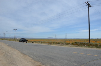 Enlarge photo 5