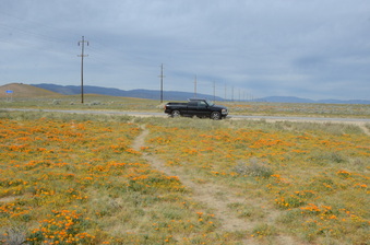 Enlarge photo 11