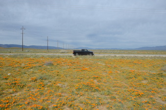 Enlarge photo 12