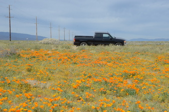 140th St. West @ Hwy 138 North