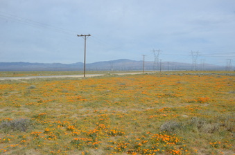 Enlarge photo 14