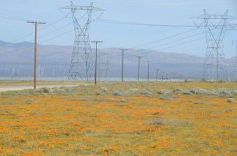 Enlarge photo 15